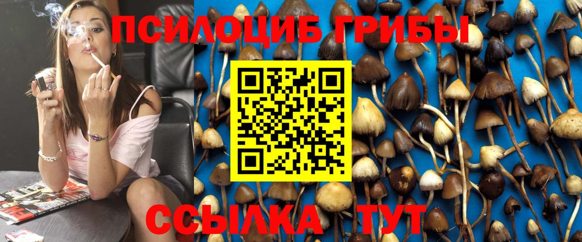 Псилоцибиновые грибы прущие грибы  Галлюциногенные грибы ЛСД  Вход с VPN  Тулун 